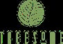 Treesome Natural Food Cafe